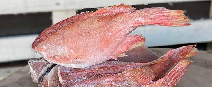 Купить морского окуня по оптовой цене Продажа рыбы