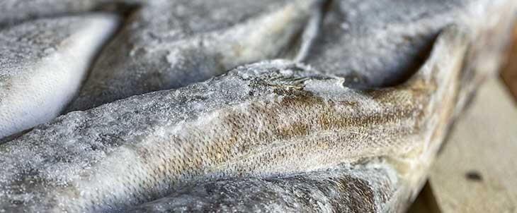 Треска замороженная купить в СПб Продажа рыбы